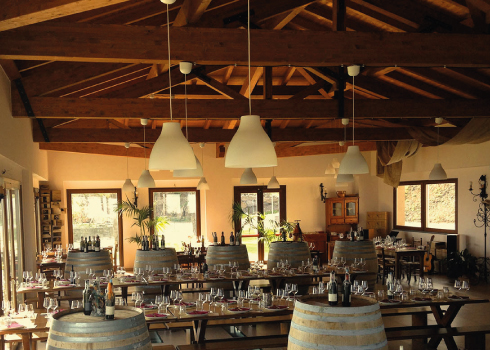 Etna Wine Tasting